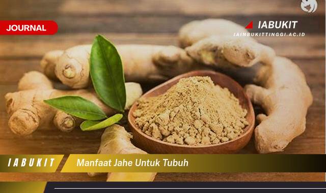 Inilah 8 Manfaat Jahe untuk Tubuh, Panduan Lengkap dari Akar hingga Daun