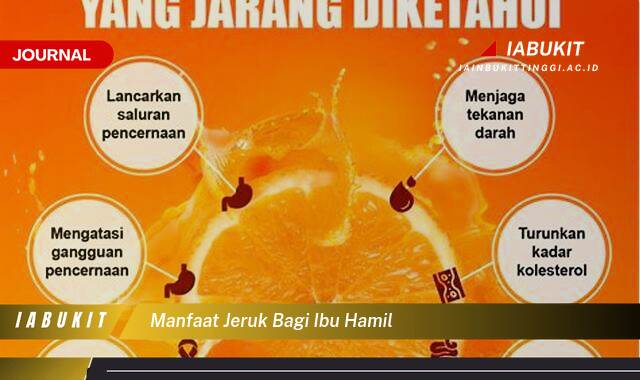 Inilah 8 Manfaat Jeruk Bagi Ibu Hamil untuk Kesehatan dan Perkembangan Janin