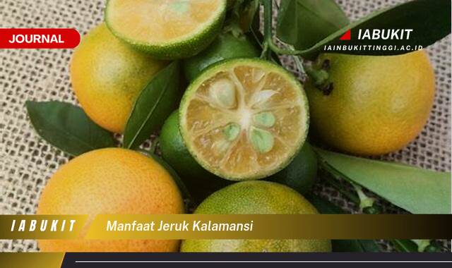 Inilah 10 Manfaat Jeruk Kalamansi Untuk Kesehatan dan Kecantikan Anda