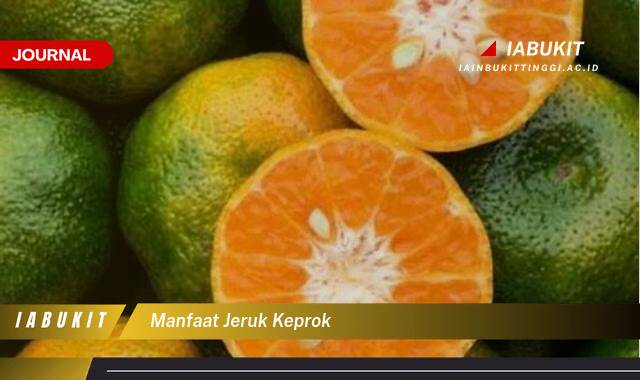 Inilah 9 Manfaat Jeruk Keprok untuk Kesehatan Tubuh yang Jarang Diketahui