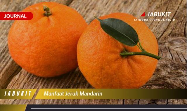 Inilah 8 Manfaat Jeruk Mandarin untuk Kesehatan Tubuh Anda