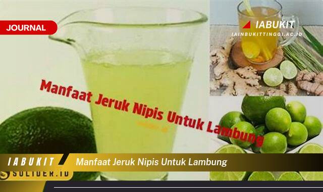 Inilah 8 Manfaat Jeruk Nipis untuk Lambung, Meredakan Maag, Mencegah Kembung, dan Meningkatkan Pencernaan