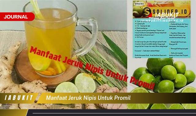 Inilah 10 Manfaat Jeruk Nipis untuk Promil, Benarkah Efektif Meningkatkan Kesuburan?