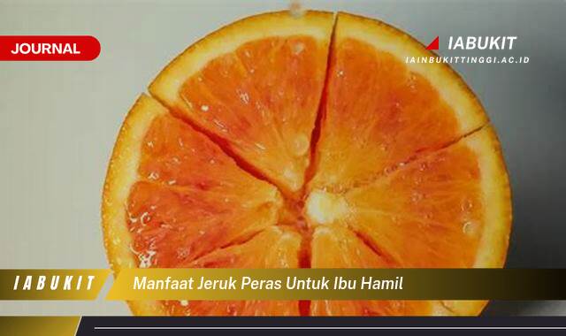 Inilah 10 Manfaat Jeruk Peras untuk Ibu Hamil, Nutrisi Penting, Resep Segar, dan Tips Aman