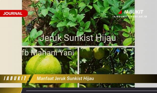 Inilah 8 Manfaat Jeruk Sunkist Hijau, Rahasia Kesehatan Tersembunyi yang Perlu Anda Tahu