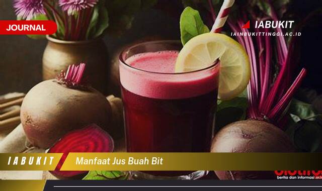 Inilah 10 Manfaat Jus Buah Bit untuk Kesehatan Tubuh Anda Inilah 10 Manfaat Jus Buah Bit untuk Kesehatan Tubuh Anda
