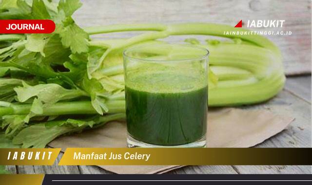 Inilah 10 Manfaat Jus Celery Bagi Kesehatan Tubuh Anda
