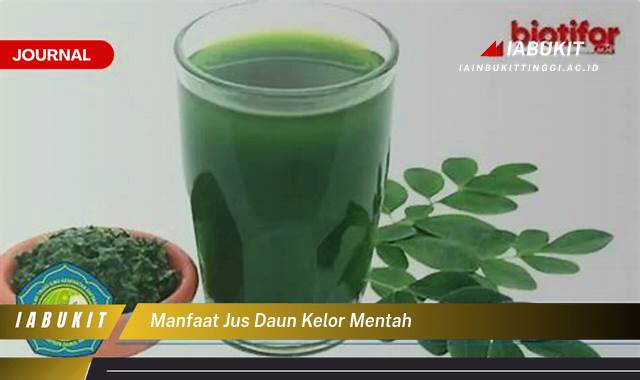 Inilah 9 Manfaat Jus Daun Kelor Mentah untuk Kesehatan Tubuh Anda