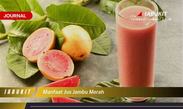 Inilah 10 Manfaat Jus Jambu Merah untuk Kesehatan Tubuh Anda
