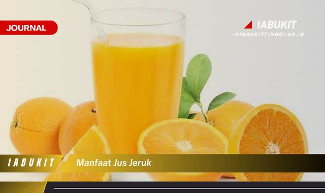 Inilah 8 Manfaat Jus Jeruk untuk Kesehatan, Kecantikan, dan Cara Membuatnya Inilah 8 Manfaat Jus Jeruk untuk Kesehatan, Kecantikan, dan Cara Membuatnya