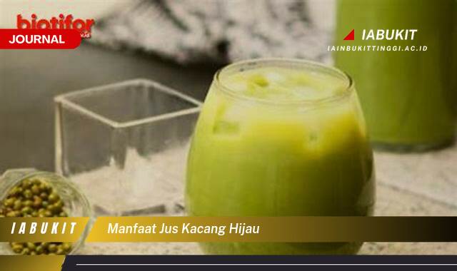 Inilah 9 Manfaat Jus Kacang Hijau, Rahasia Kesehatan Alami untuk Tubuh Anda