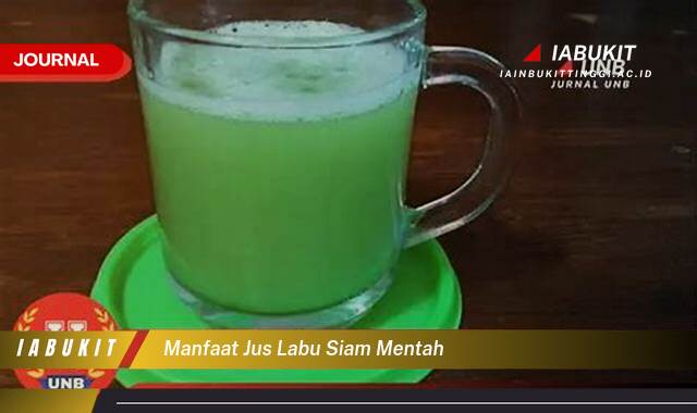 Inilah 8 Manfaat Jus Labu Siam Mentah untuk Menurunkan Berat Badan dan Kesehatan Tubuh Anda