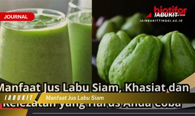 Inilah 10 Manfaat Jus Labu Siam untuk Menurunkan Berat Badan dan Mengecilkan Perut