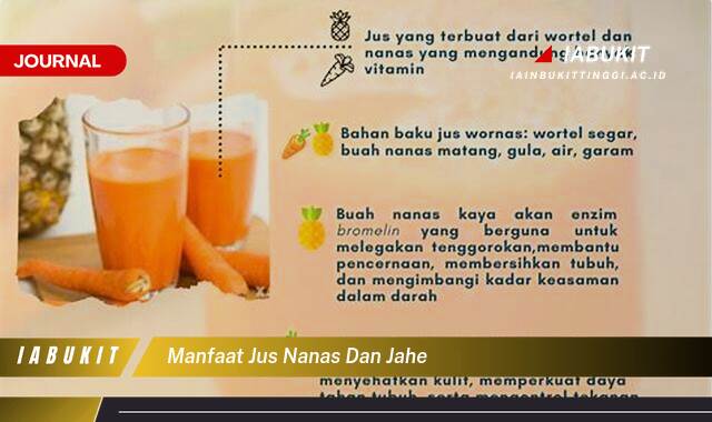 Inilah 8 Manfaat Jus Nanas dan Jahe, Resep, Efek Samping, dan Tips Terbaik