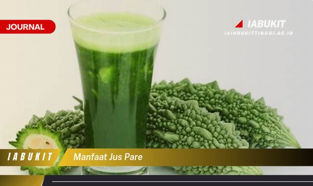 Inilah 10 Manfaat Jus Pare, Untuk Kesehatan, Kecantikan, dan Cara Membuatnya Inilah 10 Manfaat Jus Pare, Untuk Kesehatan, Kecantikan, dan Cara Membuatnya