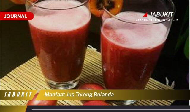 Inilah 8 Manfaat Jus Terong Belanda untuk Kesehatan Tubuh Anda Inilah 8 Manfaat Jus Terong Belanda untuk Kesehatan Tubuh Anda