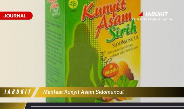 Inilah 10 Manfaat Kunyit Asam Sidomuncul untuk Kesehatan Wanita