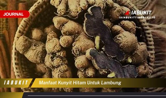 Inilah 8 Manfaat Kunyit Hitam untuk Lambung, Redakan Maag, Atasi Asam Lambung, dan Mencegah Tukak Lambung