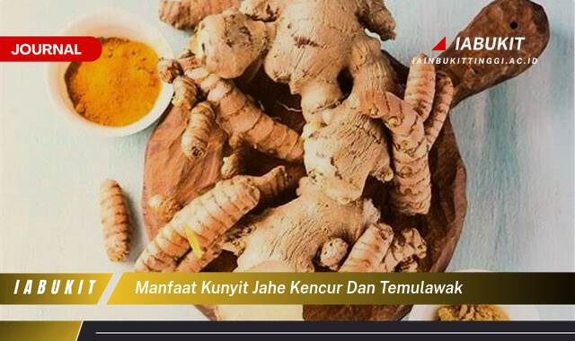 Inilah 8 Manfaat Kunyit Jahe Kencur dan Temulawak untuk Kesehatan Tubuh Anda