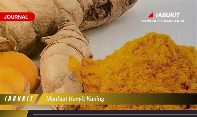 Inilah 10 Manfaat Kunyit Kuning untuk Kesehatan Tubuh Anda Secara Lengkap Inilah 10 Manfaat Kunyit Kuning untuk Kesehatan Tubuh Anda Secara Lengkap