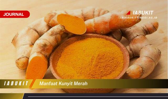 Inilah 10 Manfaat Kunyit Merah, Khasiat Tersembunyi untuk Kesehatan Anda!