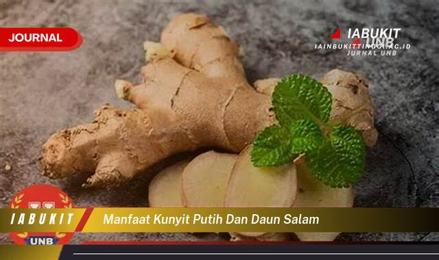 Inilah 10 Manfaat Kunyit Putih dan Daun Salam, Redakan Peradangan Hingga Jaga Kesehatan Jantung