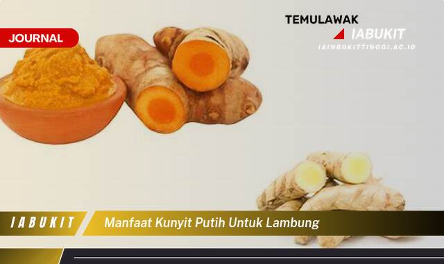 Inilah 9 Manfaat Kunyit Putih untuk Lambung, Mengatasi Maag, Mencegah Tukak, dan Meningkatkan Kesehatan Pencernaan Inilah 9 Manfaat Kunyit Putih untuk Lambung, Mengatasi Maag, Mencegah Tukak, dan Meningkatkan Kesehatan Pencernaan
