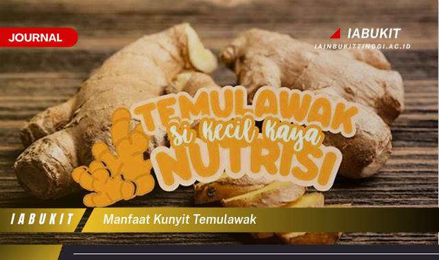 Inilah 10 Manfaat Kunyit Temulawak untuk Kesehatan Tubuh Anda