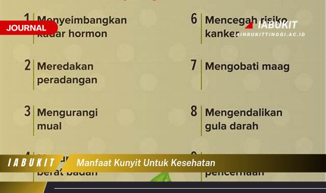 Inilah 10 Manfaat Kunyit untuk Kesehatan, Panduan Lengkap dari Akar hingga Ujung