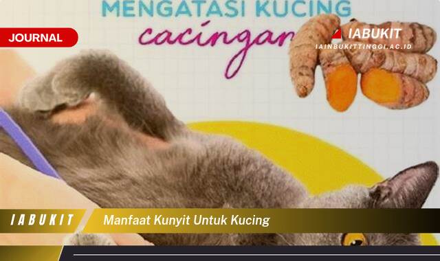 Inilah 10 Manfaat Kunyit untuk Kucing, Meningkatkan Kesehatan dan Daya Tahan Tubuh Si Meong