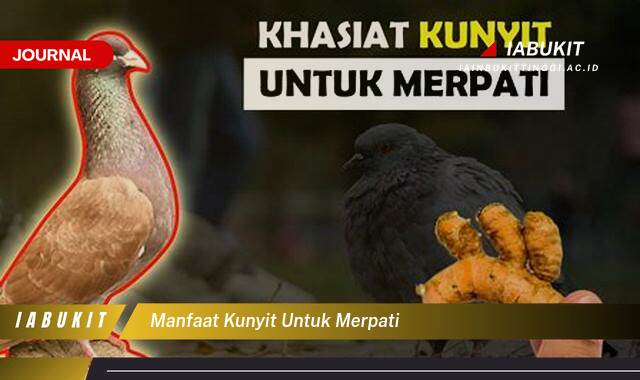 Inilah 8 Manfaat Kunyit untuk Merpati, Tips Praktis dan Cara Pemberian yang Tepat