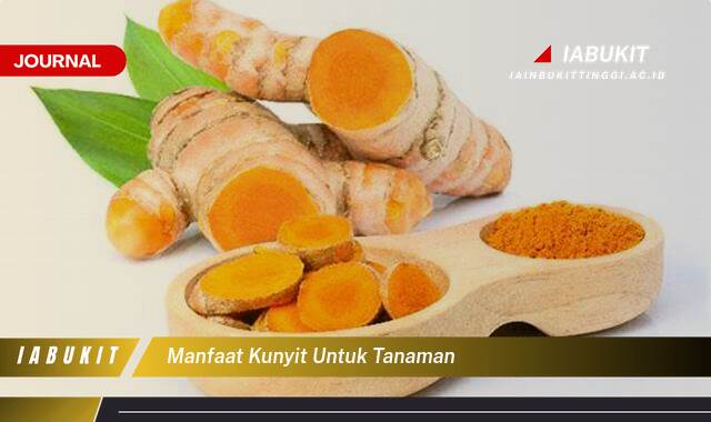 Inilah 10 Manfaat Kunyit untuk Tanaman, Pupuk Alami, Pestisida Organik, dan Kesehatan Tanah!