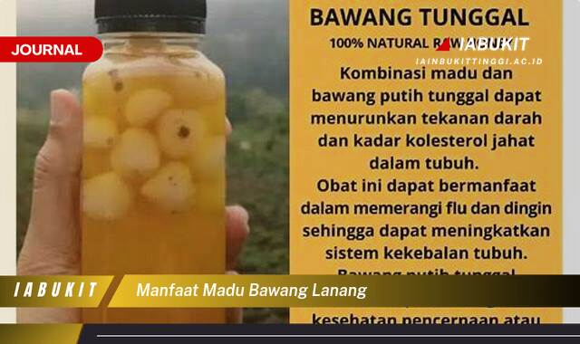 Inilah 10 Manfaat Madu Bawang Lanang untuk Kesehatan Anda Inilah 10 Manfaat Madu Bawang Lanang untuk Kesehatan Anda
