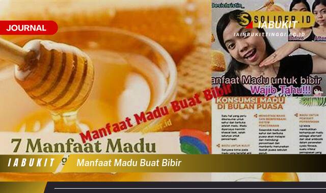 Inilah 10 Manfaat Madu Buat Bibir, Bibir Sehat, Lembap, dan Merona Alami