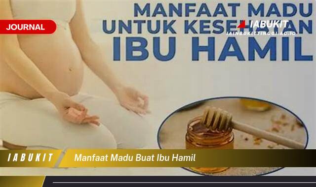 Inilah 9 Manfaat Madu Buat Ibu Hamil, Meningkatkan Kesehatan & Daya Tahan Tubuh