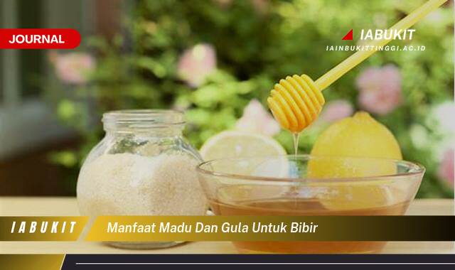 Inilah 9 Manfaat Madu dan Gula untuk Bibir, Rahasia Bibir Lembut, Sehat, dan Merona Alami