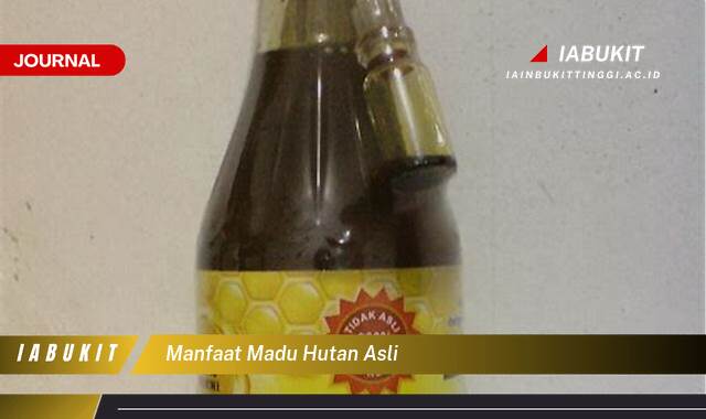 Inilah 10 Manfaat Madu Hutan Asli, Rahasia Kesehatan Alami dari Pedalaman