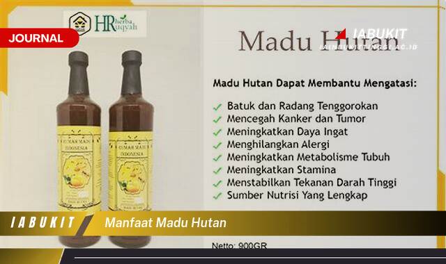 Inilah 8 Manfaat Madu Hutan untuk Kesehatan Tubuh Anda Inilah 8 Manfaat Madu Hutan untuk Kesehatan Tubuh Anda