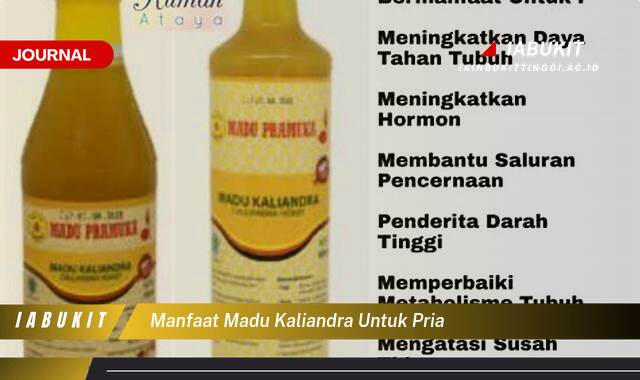 Inilah 10 Manfaat Madu Kaliandra untuk Pria, Tingkatkan Stamina, Vitalitas, dan Kesehatan Secara Alami