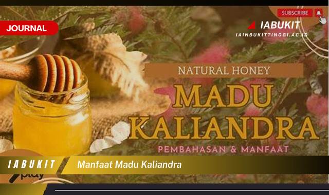 Inilah 9 Manfaat Madu Kaliandra untuk Kesehatan Tubuh Anda