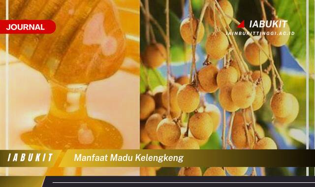 Inilah 10 Manfaat Madu Kelengkeng untuk Kesehatan Tubuh dan Kecantikan Kulit