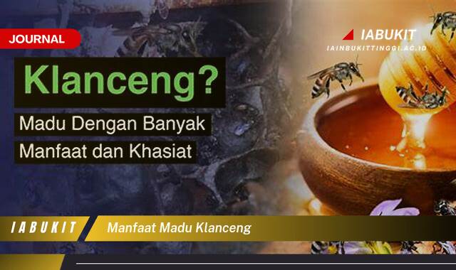 Inilah 9 Manfaat Madu Klanceng untuk Kesehatan Tubuh Anda Inilah 9 Manfaat Madu Klanceng untuk Kesehatan Tubuh Anda