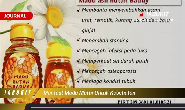 Inilah 10 Manfaat Madu Murni untuk Kesehatan, Panduan Lengkap dan Terpercaya