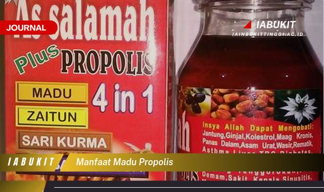 Inilah 9 Manfaat Madu Propolis untuk Kesehatan Tubuh Anda