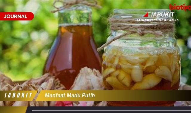 Inilah 9 Manfaat Madu Putih untuk Kesehatan, Kecantikan, dan Lainnya