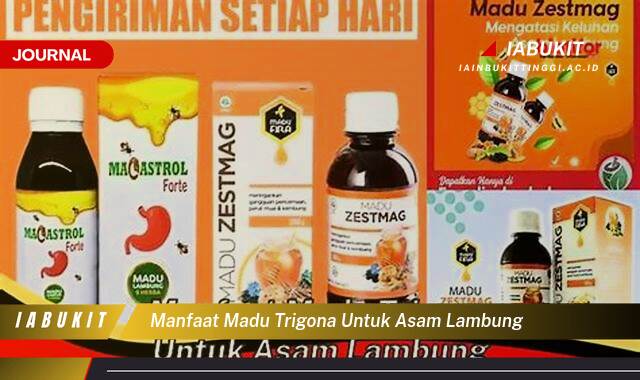 Inilah 8 Manfaat Madu Trigona untuk Asam Lambung, Meredakan Gejala dan Cara Penggunaannya