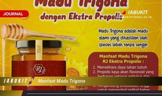 Inilah 9 Manfaat Madu Trigona untuk Kesehatan Tubuh Anda Inilah 9 Manfaat Madu Trigona untuk Kesehatan Tubuh Anda