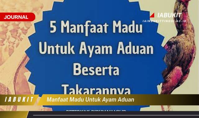 Inilah 10 Manfaat Madu untuk Ayam Aduan, Tingkatkan Stamina dan Kesehatan!