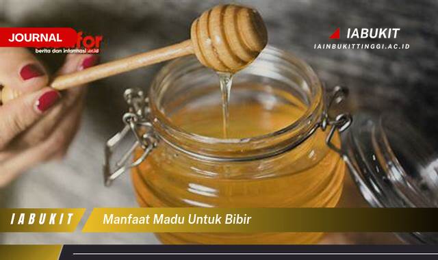 Inilah 9 Manfaat Madu untuk Bibir Kering dan Pecah,Pecah, Tips Ampuh dan Alami Inilah 9 Manfaat Madu untuk Bibir Kering dan Pecah,Pecah, Tips Ampuh dan Alami