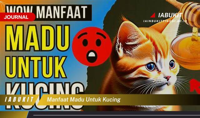 Inilah 9 Manfaat Madu untuk Kucing, Solusi Alami untuk Kesehatan dan Kecantikan Anabul